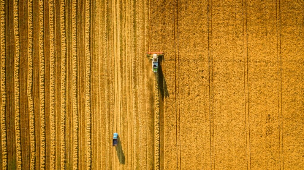 Фото: shutterstock.com
