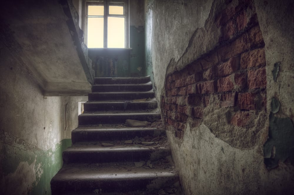 Фото: Shutterstock