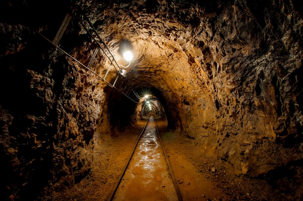 Фото: Shutterstock