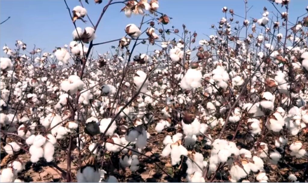 Фото: Автора