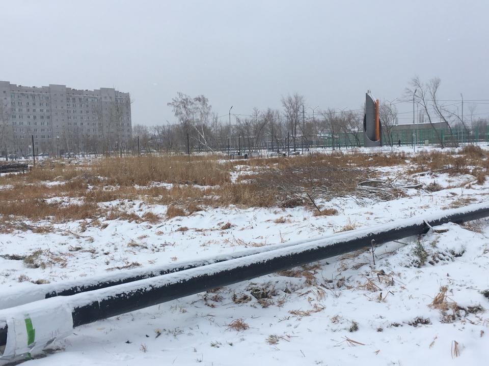 Аким Павлодара прокомментировал вырубку 6 тысяч деревьев ради спортивных объектов