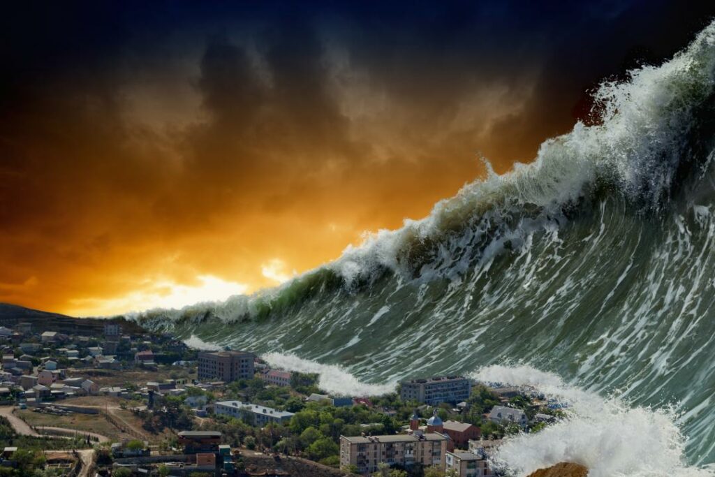 Фото: shutterstock.com
