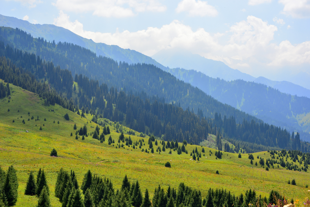 Фото: Shutterstock