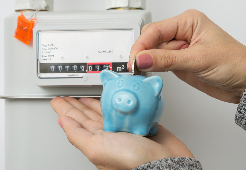 Фото: Shutterstock