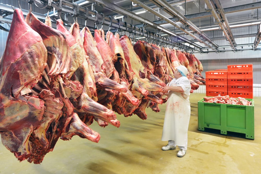 Китайцы вложили 1 млрд тенге в сертификационный центр для допуска к экспорту в КНР мяса из ВКО