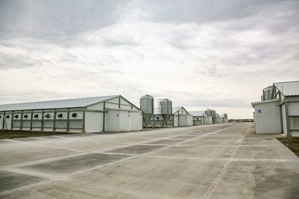 Макинская птицефабрика начала коммерческое производство мяса птицы