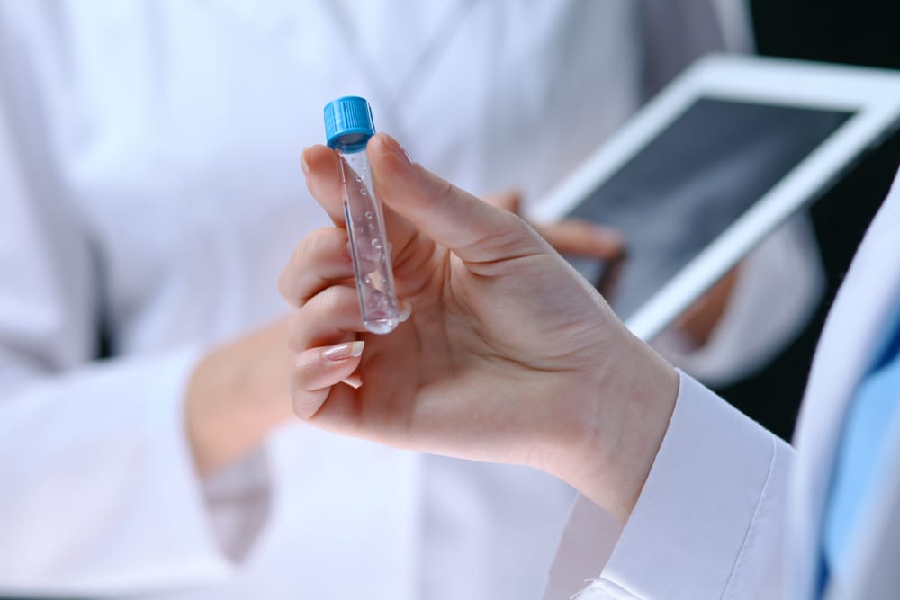 Из-за закрытия границы костанайские животноводы боятся не выполнить план по завозу скота