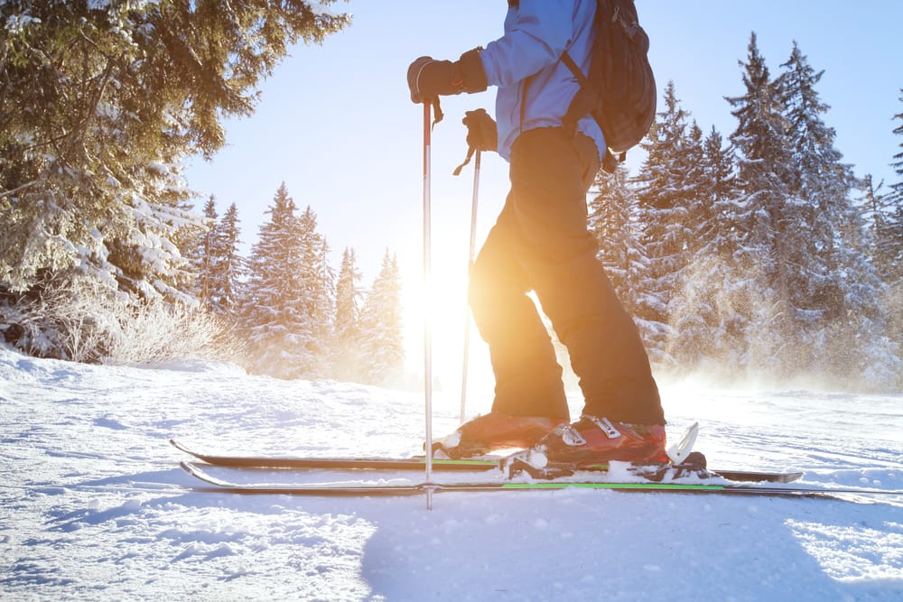 Фото: Shutterstock