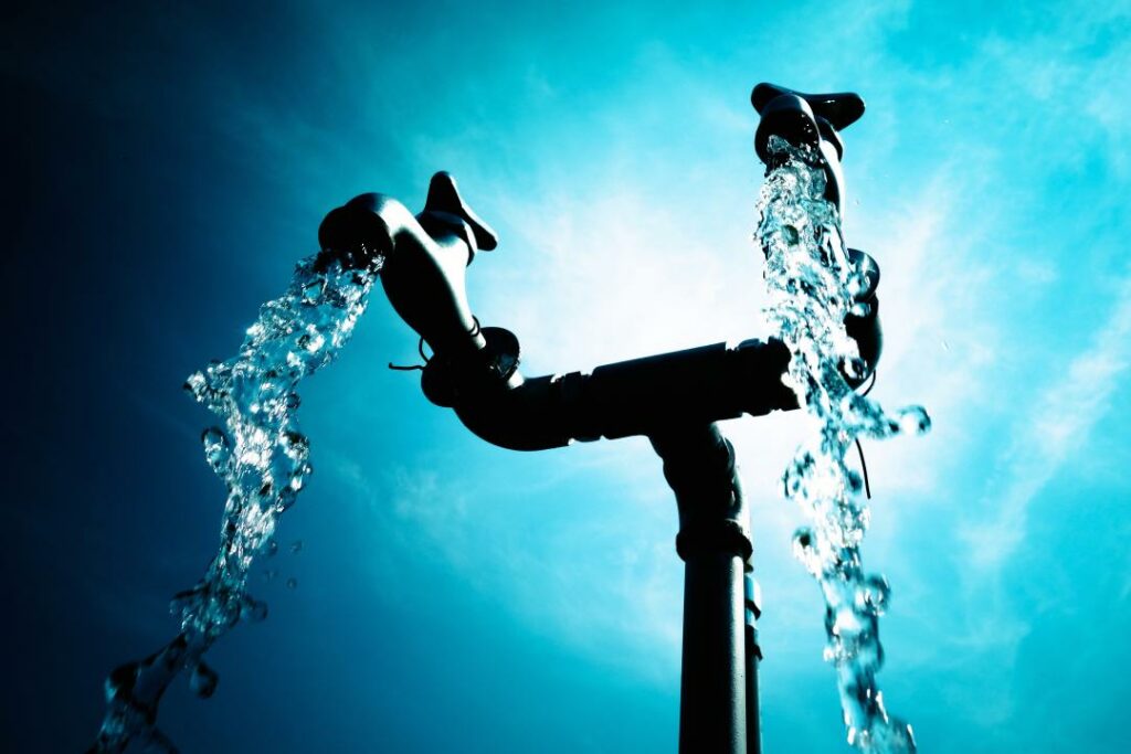 Фото: shutterstock.com