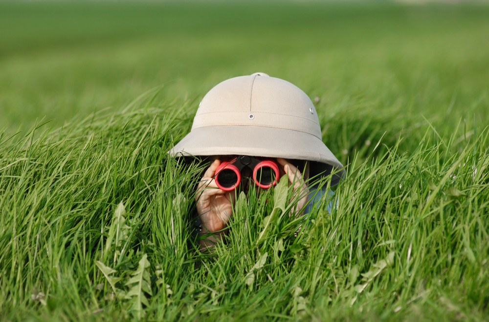 Фото: Shutterstock.com