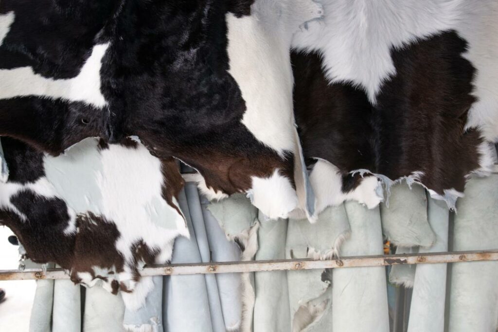 Владельцы убойных пунктов в Мангистауской области вынуждены уничтожать свой товар