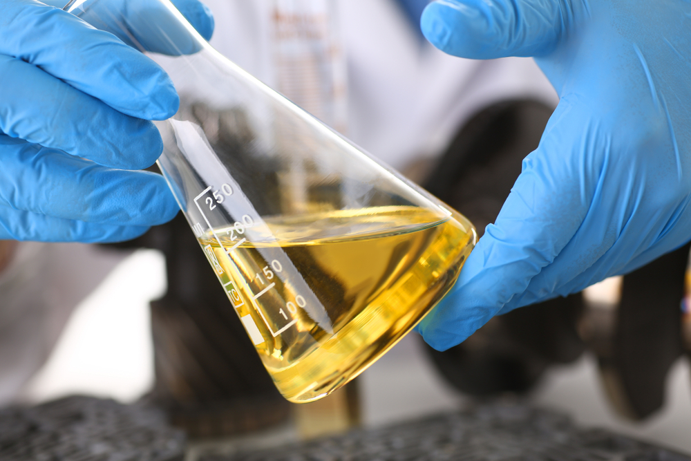 Итальянская корпорация намерена вложить 2,5 млрд тенге в строительство завода в Павлодаре