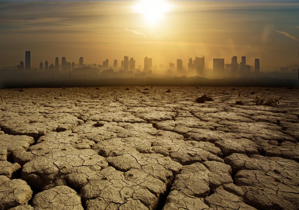 Фото: shutterstock.com