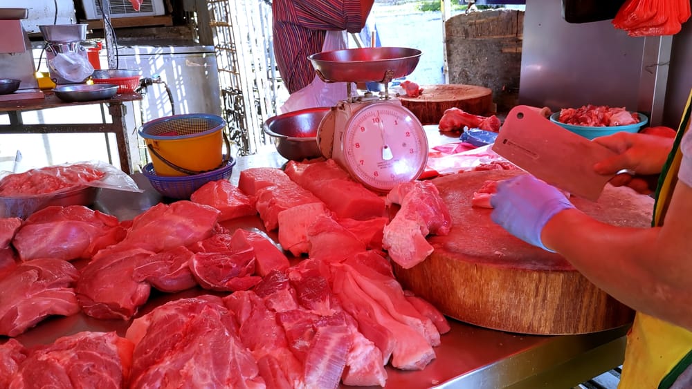 фото: shutterstock.com