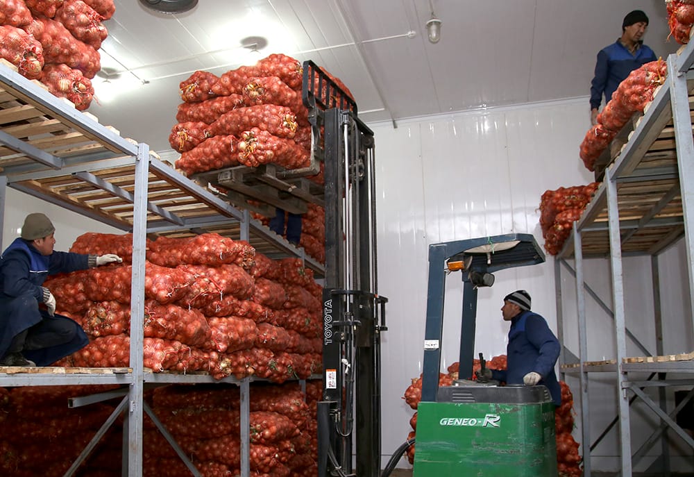 Фото: Дмитрий Кузмичев