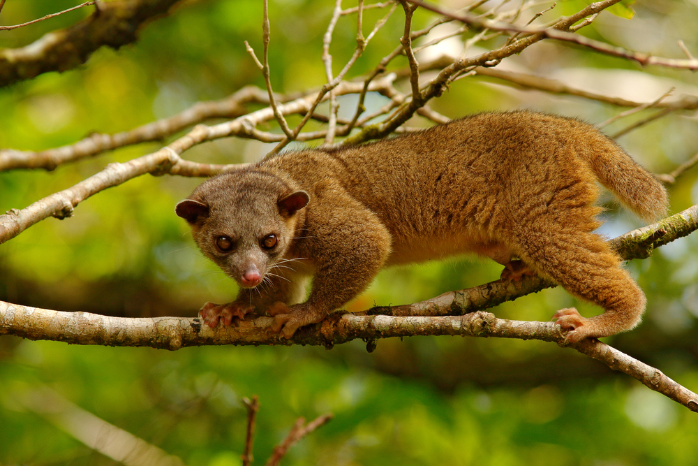 Фото: Shutterstock