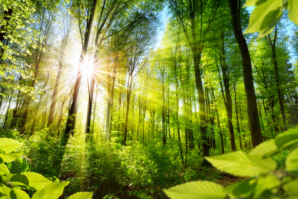 Фото: Shutterstock