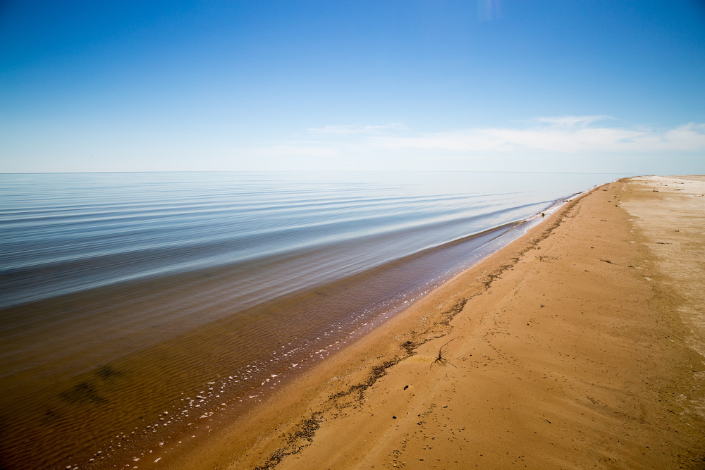 Международные донорские организации могут перестать финансировать решение экологических проблем Приаралья