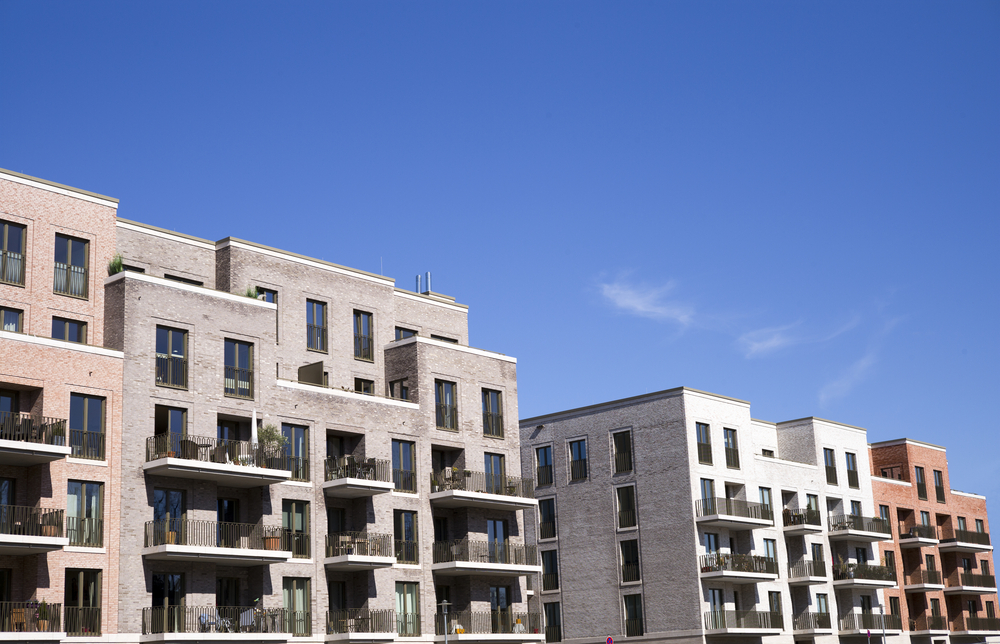 фото: shutterstock.com