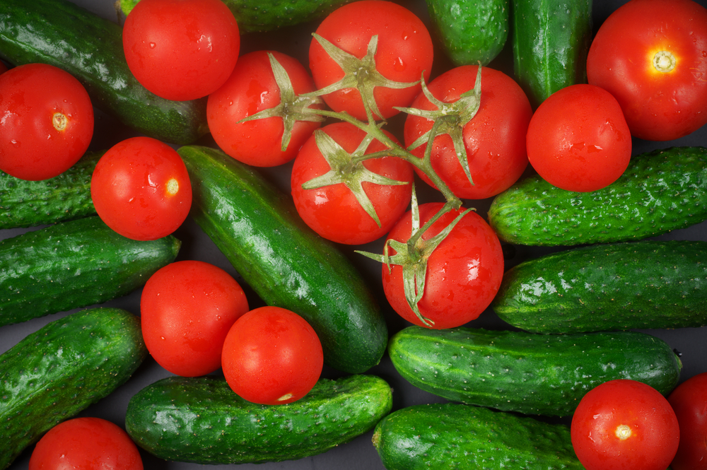 Почему тепличный бизнес Шымкента проигрывает Узбекистану?