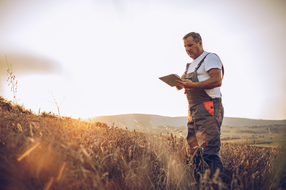 Крестьянские хозяйства СКО не получили субсидии на удобрения из-за проблемы в цифровизации