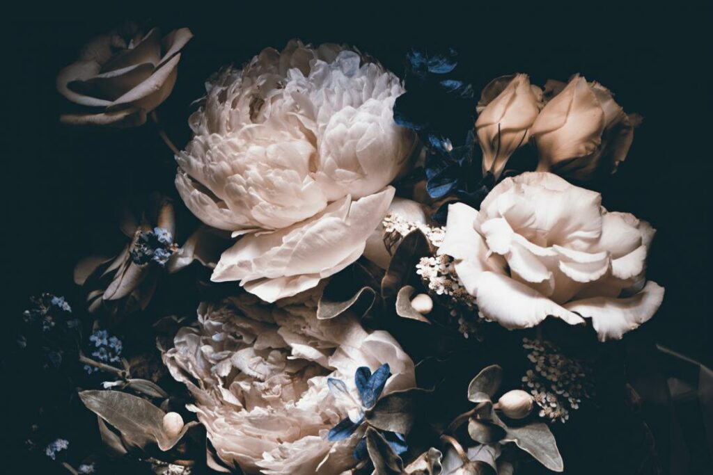 Фото: Shutterstock