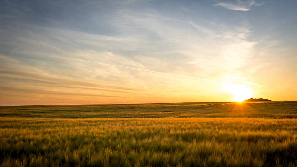 В Уральске на аукционе аренду 25 соток продали за 10 миллионов при стоимости 390 тысяч тенге