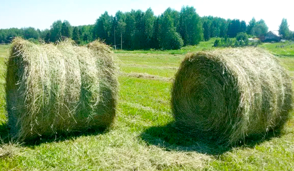 Фермерлер несие алуға өтінімді онлайн бере алады
