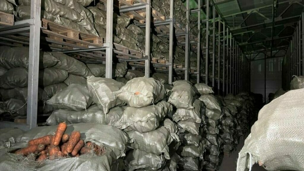До 40% урожая овощей пропадает в Казахстане из-за нехватки складов