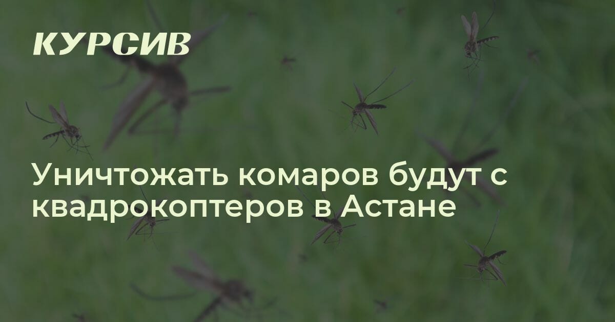 Обработка против комаров в Астане