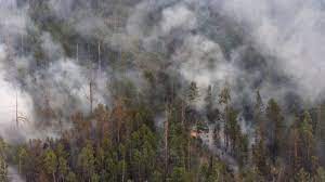 Канадада дала өрті өршіп тұр