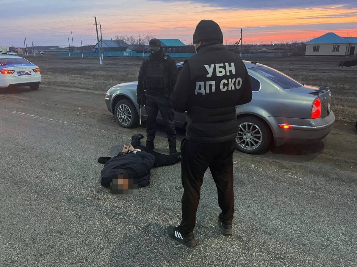 Самую крупную партию наркотиков за последние 10 лет изъяли в СКО