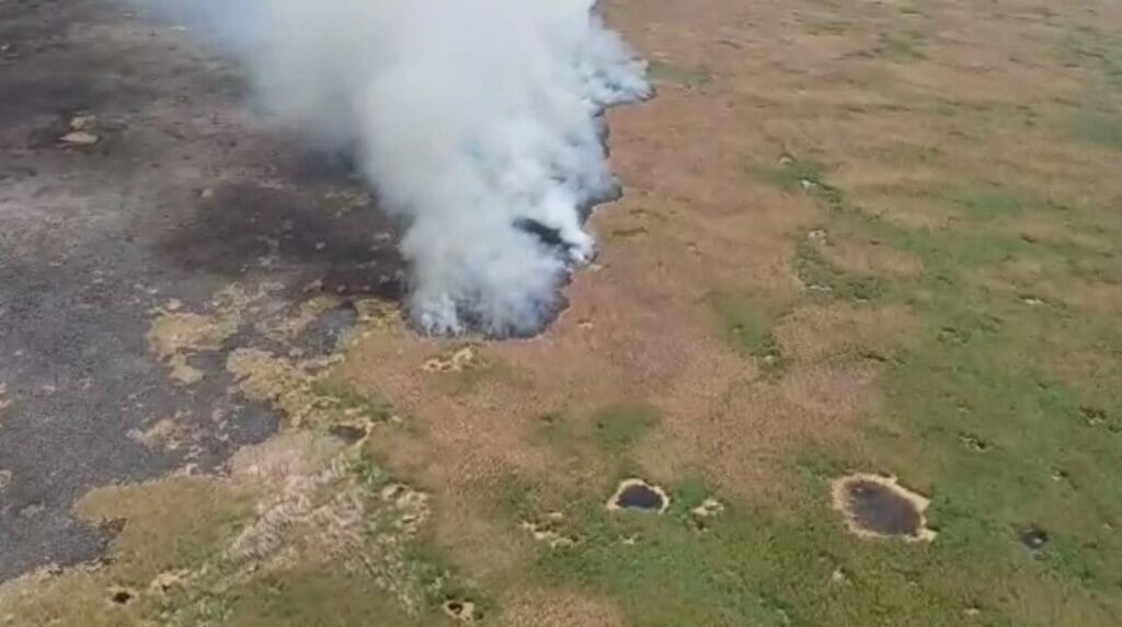 Пожар в Иле-Балхашском резервате: к шестому дню тушения площадь горения сократили до 30 га