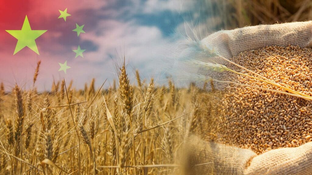 Кто станет крупнейшим покупателем пшеницы