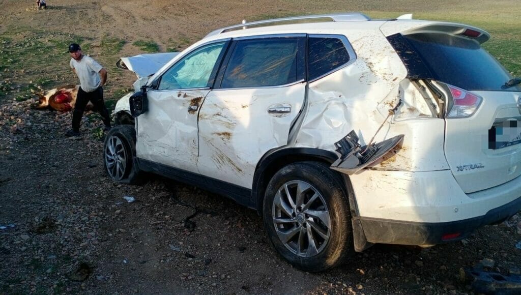 Глава филиала партии Amanat попала в ДТП в Карагандинской области: пострадали двое детей, они госпитализированы с травмами