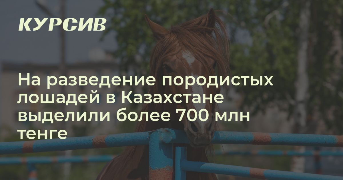 Сколько потратят на развитие казахских пород лошадей