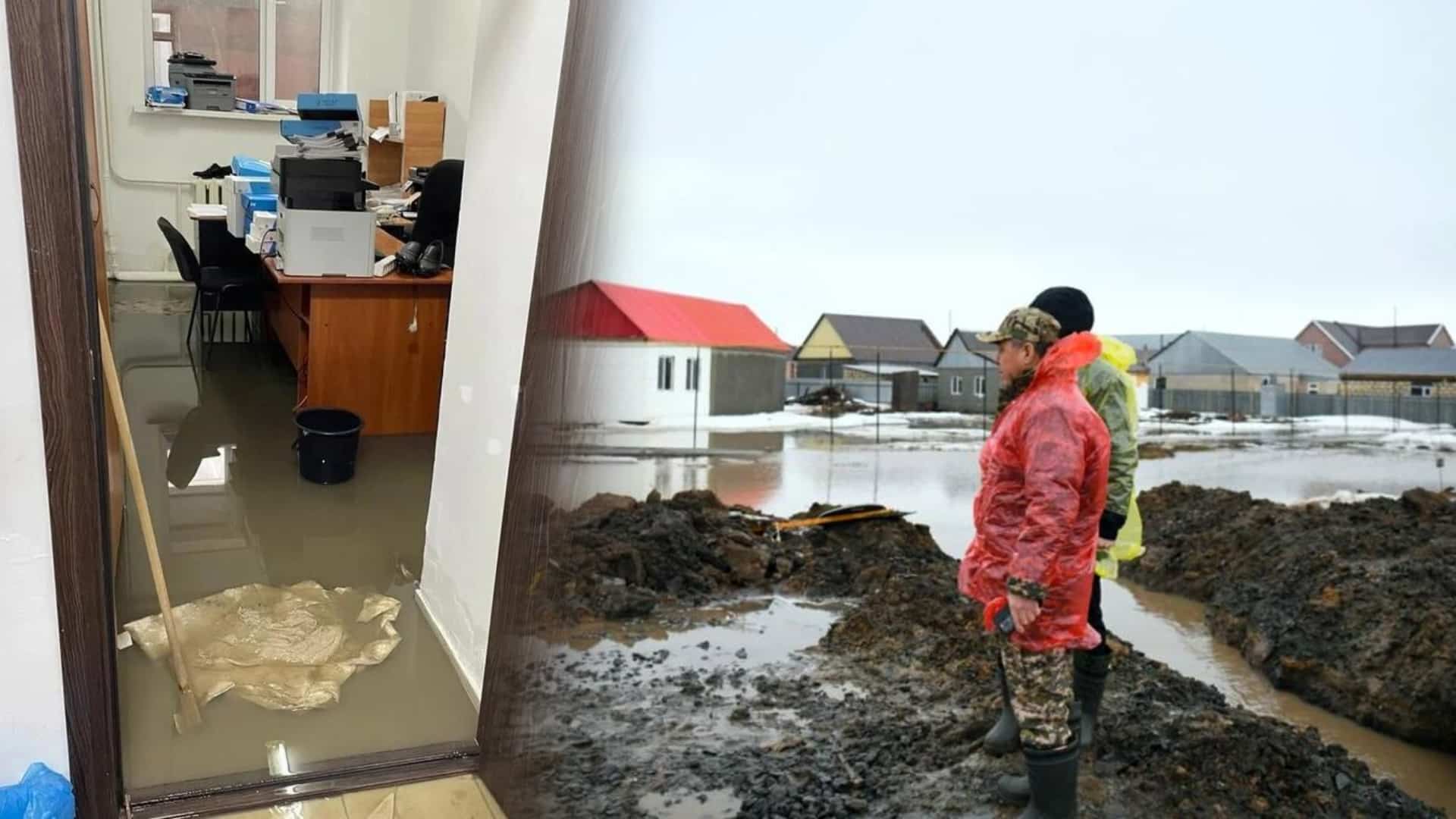 сөгіс