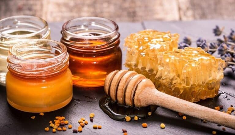 Бал өндіретін қазақстандық кәсіпорын Еуроодаққа тауар экспорттайды