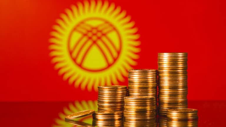 Еуразиялық тұрақтандыру және даму қоры Қырғызстанның салық қызметіне 1,45 млн доллар грант бөледі