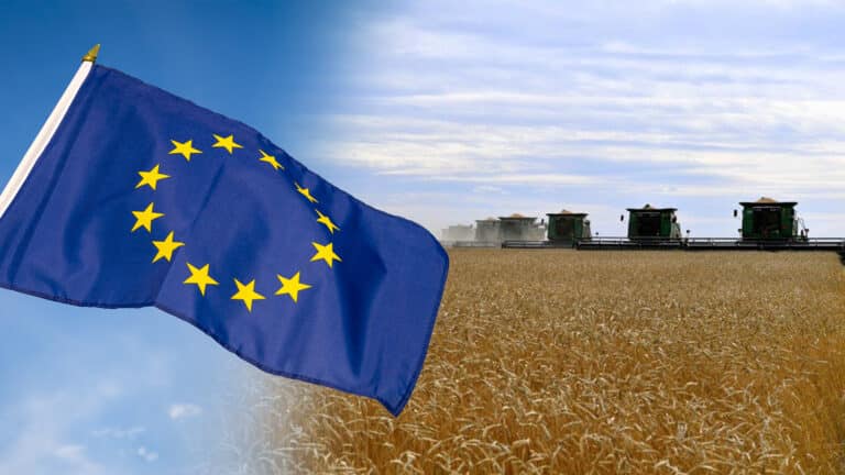 Депутат опасается введения Евросоюзом пошлин на зерно из Казахстана