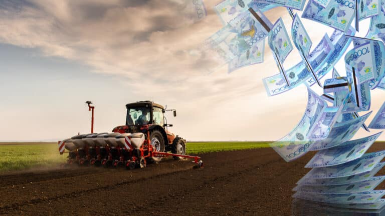 Казахстан десятилетиями впустую тратит деньги на развитие сельского хозяйства – Halyk Finance