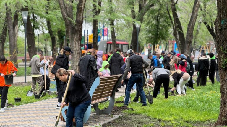 Более 8 тысяч деревьев высадили в Алматы в ходе субботника