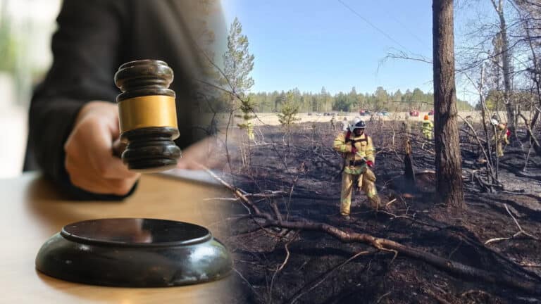Суд вынес приговор руководству резервата «Семей орманы». Во время лесного пожара там погибли 14 человек 