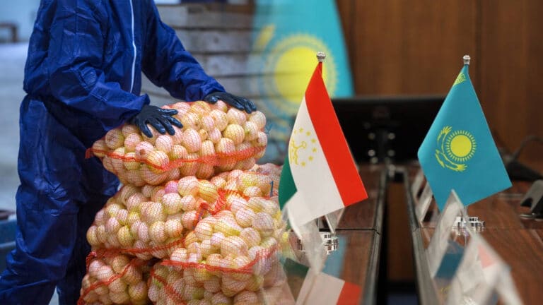 Казахстан покупает у Таджикистана десятки тысяч тонн лука, хотя сам производит в 3,5 раза больше необходимого