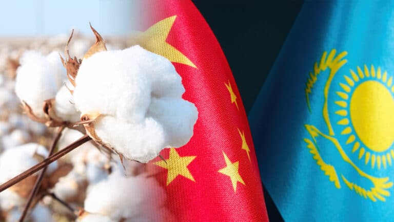 Казахстан начал выращивать элитные семена хлопка. В этом ему помогает Китай