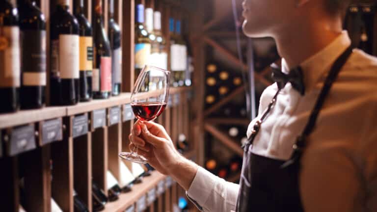 Не переплатить за упаковку: разбираемся в ценообразовании вина