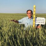 Қанат Ақшалов