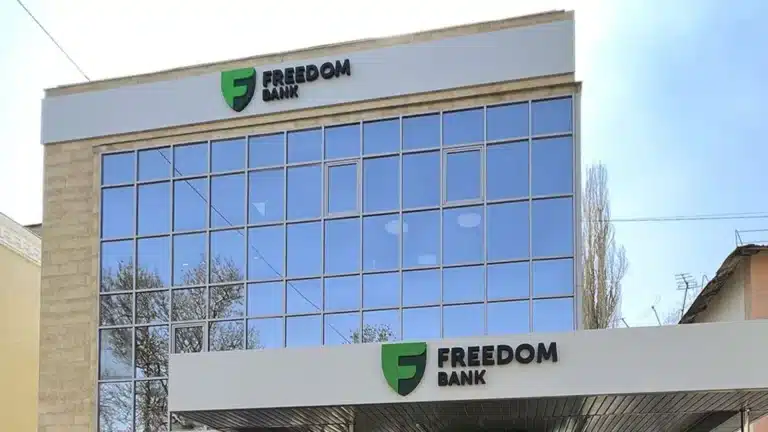 Freedom Bank has the potential of growing fourfold
