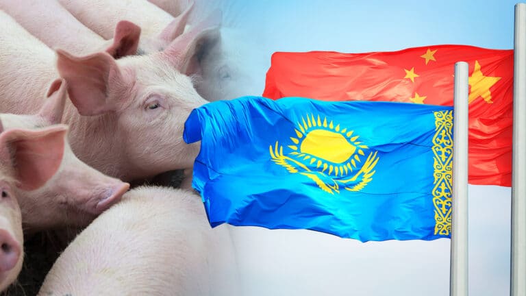 China to purchase 20,000 tons of pork from a Kazakhstani company