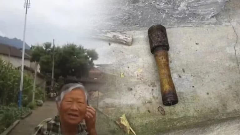 Китаянка приняла гранату за молоток и 20 лет колола орехи смертельным снарядом